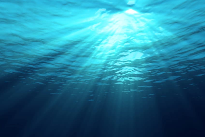 Pescador Water